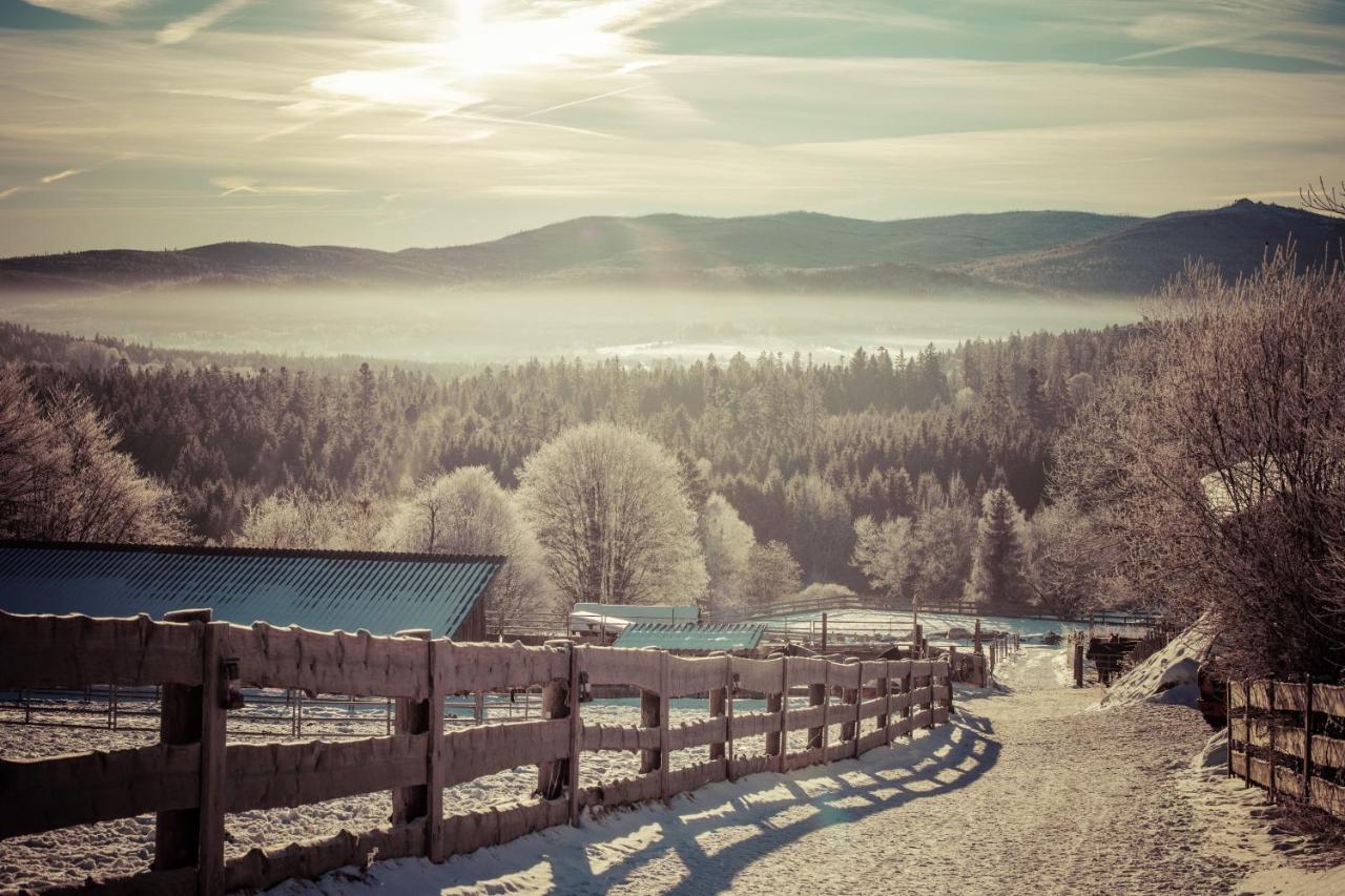 Landhotel Zum Matthiasl Bischofsreut Екстериор снимка